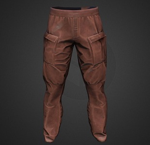 Pants Jeans Pants Leather Pants Pleated Fabric Clothes Suit 3d model