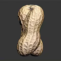 Modern Peanut Fresh Peanut Raw Peanut 3d model