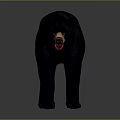 Realistic Black Bear Figure In Standing Pose With Open Mouth And Detailed Fur