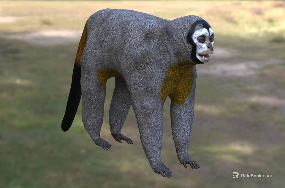 Gray and Yellow Reptile with Black Tail Standing on Green Grass Field Area 3d model 