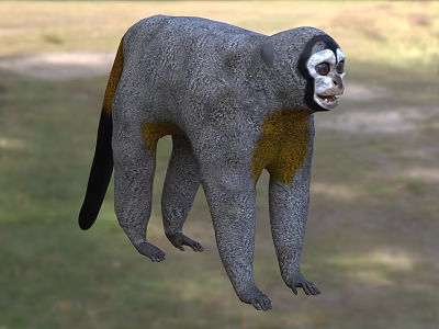 Gray and Yellow Reptile with Black Tail Standing on Green Grass Field Area 3d model