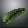 Fresh Green Cucumber with Small Spines Smooth Skin and Juicy Texture