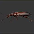 3D Rendered Shiny Red Beetle With Long Antennae And Legs On Dark Background