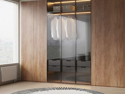 Modern Wooden Wardrobe Interior With Glass Doors Hanging Shirts Storage Boxes And Drawers 3d model