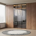 Modern Wooden Wardrobe Interior With Glass Doors Hanging Shirts Storage Boxes And Drawers