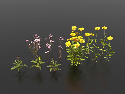 Vibrant Assorted Flowers with Yellow Pink Blooms and Green Stems for Decoration 3d model