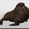 Walrus Aquatic Animal With Wrinkled Brown Body Long White Tusks And Relaxed Lying Posture