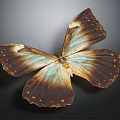 Exquisite Brown And Iridescent Blue Butterfly With Spotted Spread Wings On Dark Background
