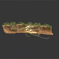 Modern Soil Profile Model With Grass Rock And Tree Roots
