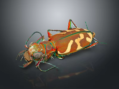 Vibrant Tiger Beetle With Hairy Antennae Segmented Legs And Patterned Elytra 3d model