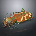 Vibrant Tiger Beetle With Hairy Antennae Segmented Legs And Patterned Elytra