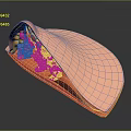 Detailed Colorful 3D Anatomical Cross Section With Internal Tissue Layers