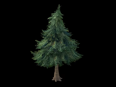 Tall Evergreen Arbor With Lush Green Foliage And Brown Wooden Trunk 3d model