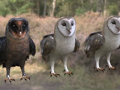 Three Reptiles Standing In Forest Area With Purple Plants Background 3d model