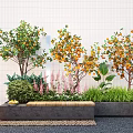 Vibrant Plant Combination with Orange Fruit Trees Green Foliage Pink Flowers and Gray Planters