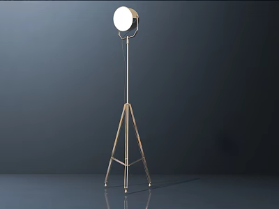 Sleek Modern Metallic Floor Lamp With Tripod Stand And Circular Light 3d model