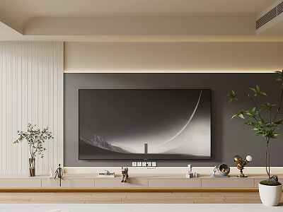 Modern Minimalist Living Room TV Wall With Plants And Decor 3d model