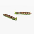 Two Brown And Green Striped Reptiles With Segmented Bodies And Green Head Protrusions
