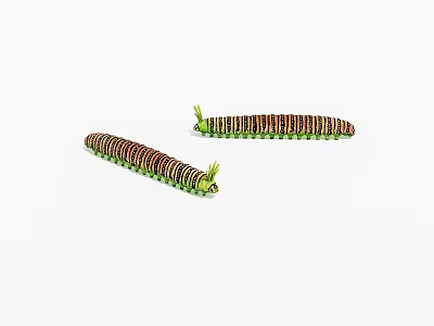 Two Brown And Green Striped Reptiles With Segmented Bodies And Green Head Protrusions 3d model
