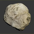 Natural Wood And Stone Material Featuring Rough Beige Texture And Natural Form