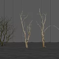 Bare Arbor Trees Against Dark Vertical Striped Wall On Light Wooden Floor