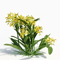 3D Rendered Yellow Orchids With Green Leaves On White Background And Shadow