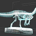 Reptile Dinosaur Skeleton Model Display On White Base With Detailed Bones