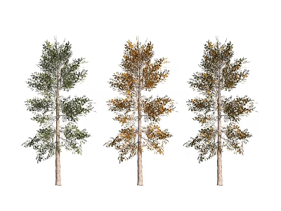 Three Arbor Trees With Green Yellow And Mixed Colored Leaves Isolated On White Background 3d model