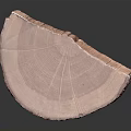 Natural Wood Slice with Distinct Annual Rings and Smooth Wooden Grain Texture