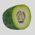 Fresh Winter Melon Cut Open Showing Green Outer Skin And Inner Seeds 3d model