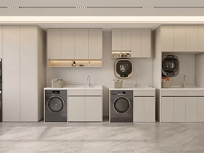 Sleek Modern Bathroom Cabinetry With Light Colored Cabinets Washing Machine And Sink 3d model
