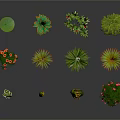 Diverse Potted Plants with Sunflower Roses Succulents and Colorful Flowering Greenery