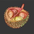 Ripe Durian Cut Open On Dark Background Showing Yellow Flesh And Spiky Outer Shell