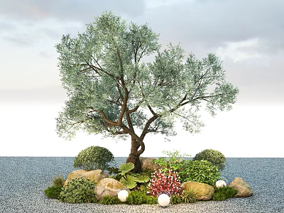 Olive Tree Plant Combination With Bushes Flowers Stones Small Lights And Gravel 3d model