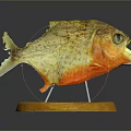 Yellow Orange Fish Shaped Decorative Household Item With Green Eyes And Round Wooden Base
