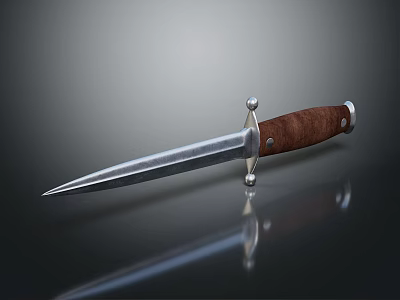 Silver Blade Dagger With Brown Wooden Handle And Metal Decorations Placed On Black Reflective Surface 3d model
