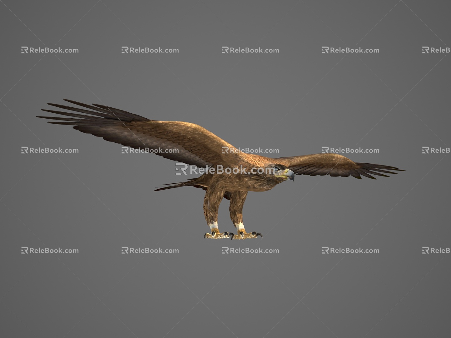 Modern Eagle Animal Eagle 3d model