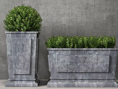 Lush Green Potted Plants In Square Planters With Gray Textured Wall Background Decor 3d model