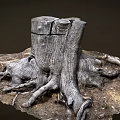 Old Tree Stump With Exposed Roots Surrounded By Natural Soil And Small Plants