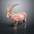 Wild Ibex with Large Curved Horns and Rough Fur Standing on Dark Background