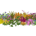 Colorful Mixed Flowers and Plants with Various Species and Vibrant Blooms in Garden