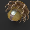Mysterious Mythical Creature With Yellow Shell Curved Tentacles And Shiny Central Eye