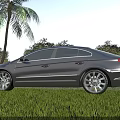 Silver Sedan Car Parked On Green Grass With Palm Tree And Blue Sky