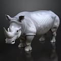 Detailed Gray Rhinoceros Model Standing on Black Background With Reflection