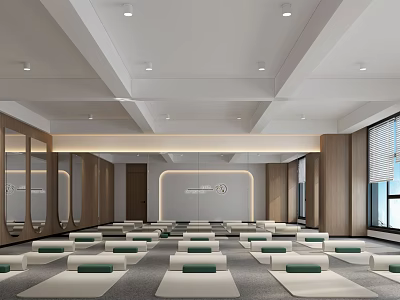 Spacious Modern Minimalist Yoga Studio With Wooden Walls Large Windows And Neatly Arranged Yoga Mats 3d model