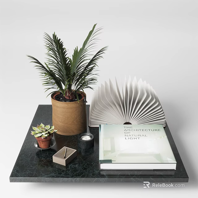Decorative Ornaments Set With Palm Succulent Plants Fanned Book And Architecture Book On Dark Table 3d model 