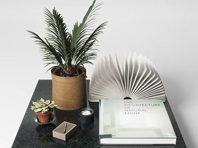 Decorative Ornaments Set With Palm Succulent Plants Fanned Book And Architecture Book On Dark Table 3d model