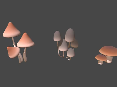 Healthy Vegetable Mushrooms with Different Colors and Various Natural Shapes 3d model