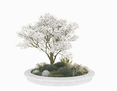 Modern flowerbed plant 3d model