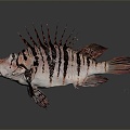 Modern Fish Moon Fish 3d model